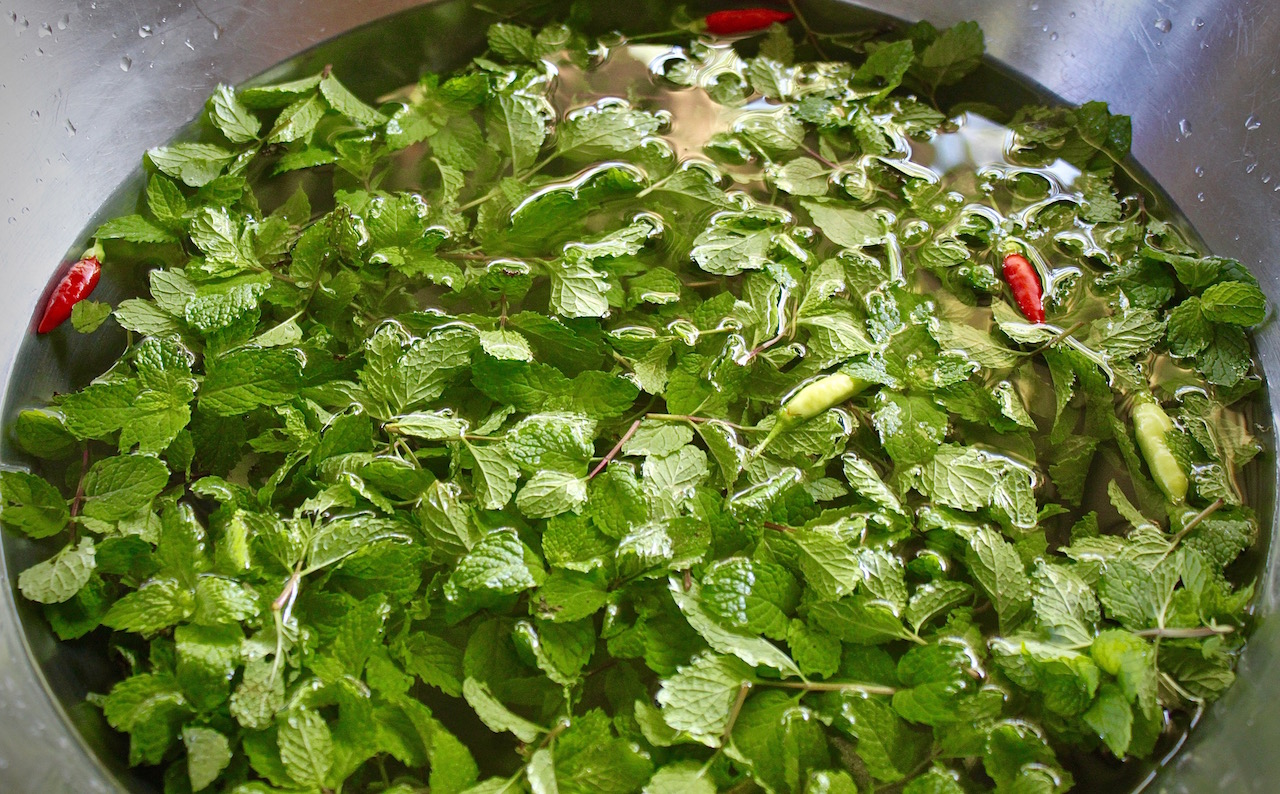Mint and chillies were key ingredients in so much of what we prepared.
