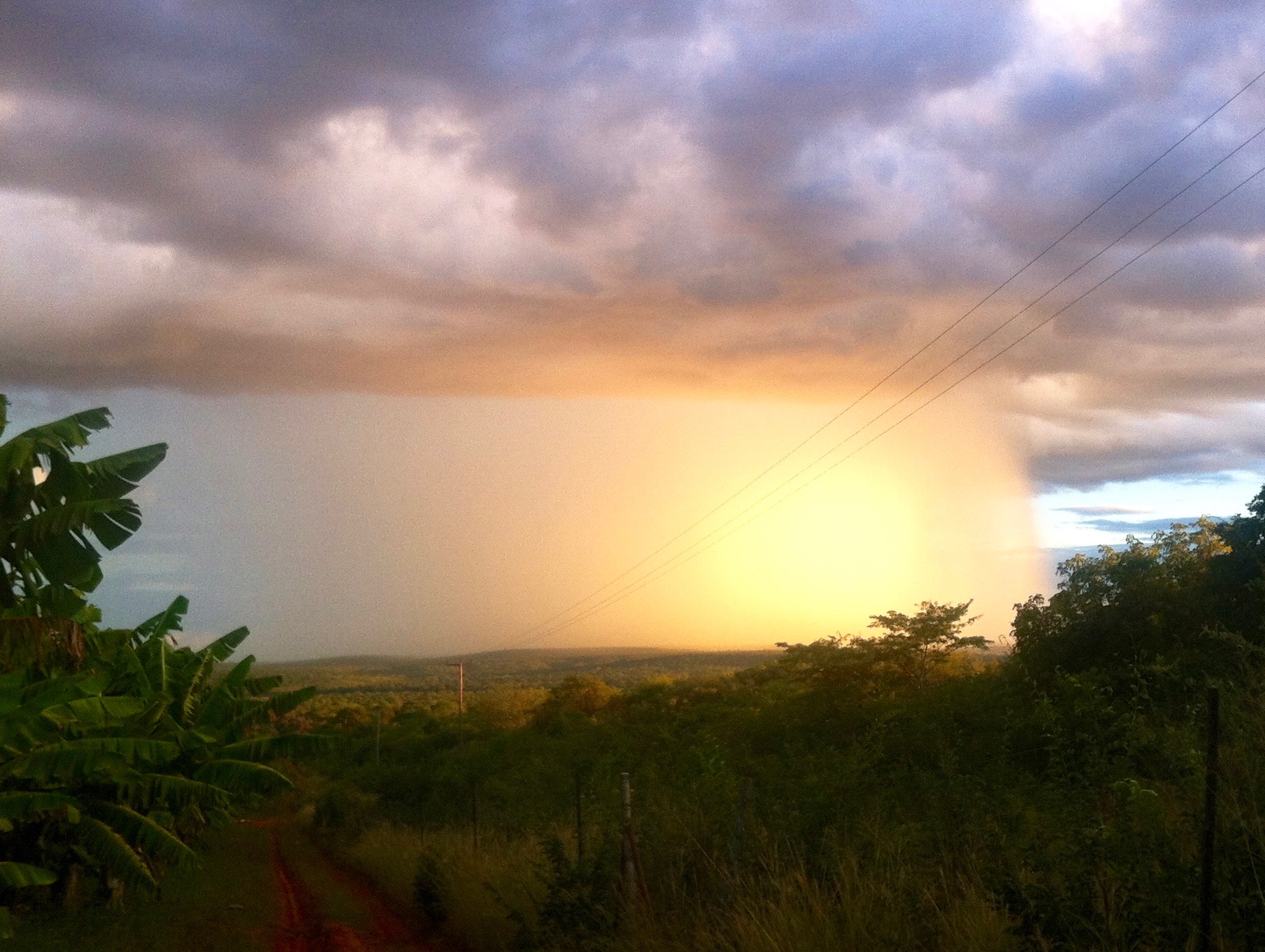 A sunlit rainstorm on the farm.