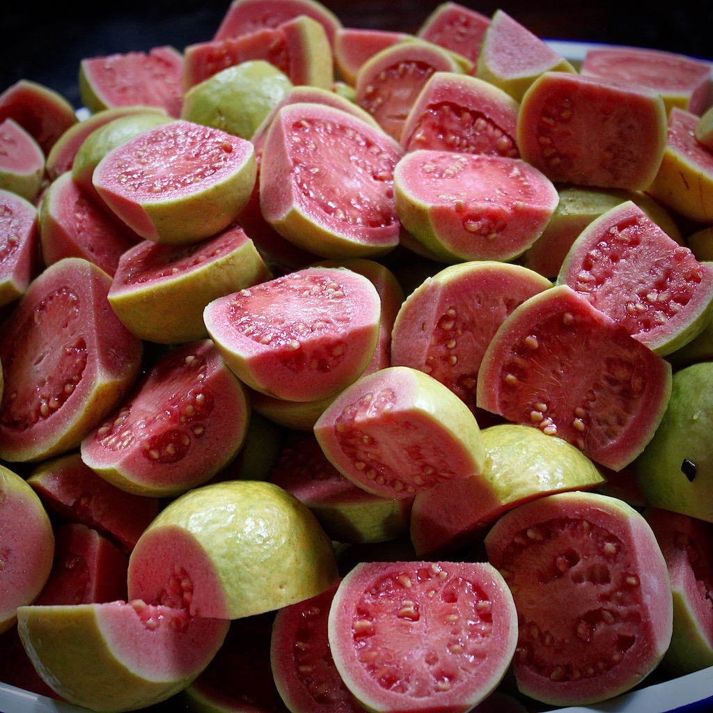 Preparing the guavas to be turned into syrup and jelly.