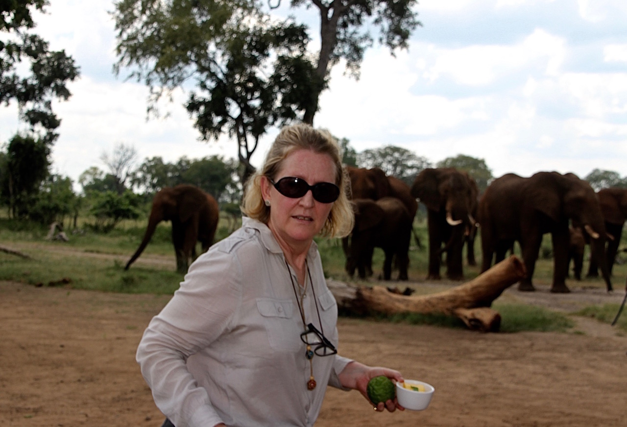 Preparing lunch while the elephants watched.