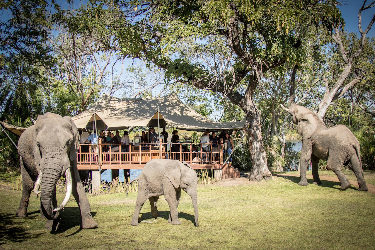 Our first (unofficial) lunch at The Elephant Café was held last week.