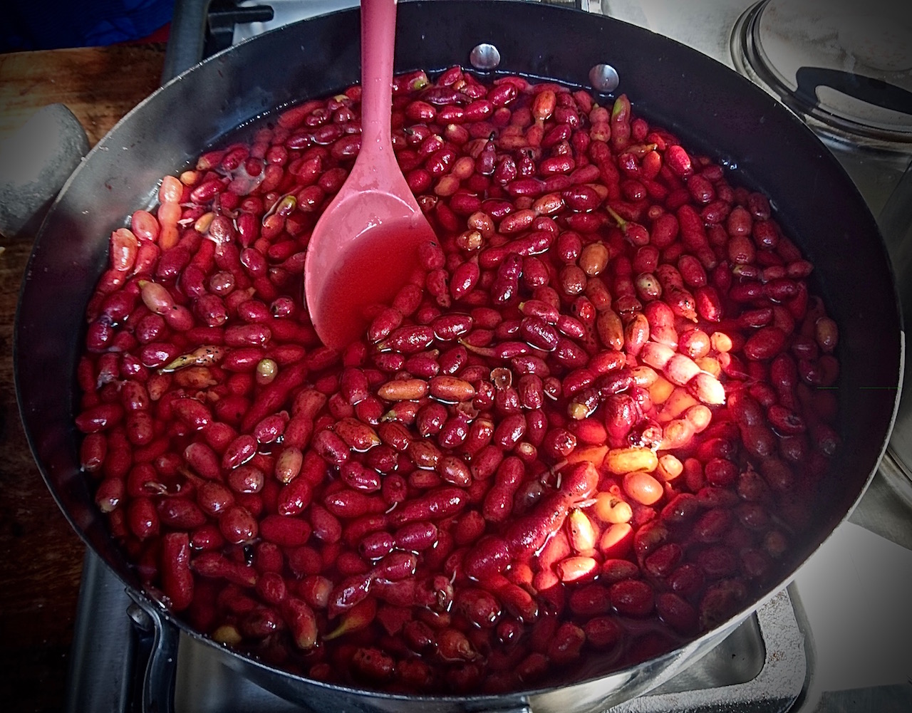 Making a fruit syrup out of the Muchingachinga fruit. 