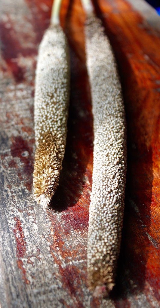 recipe-testing-finger-millet