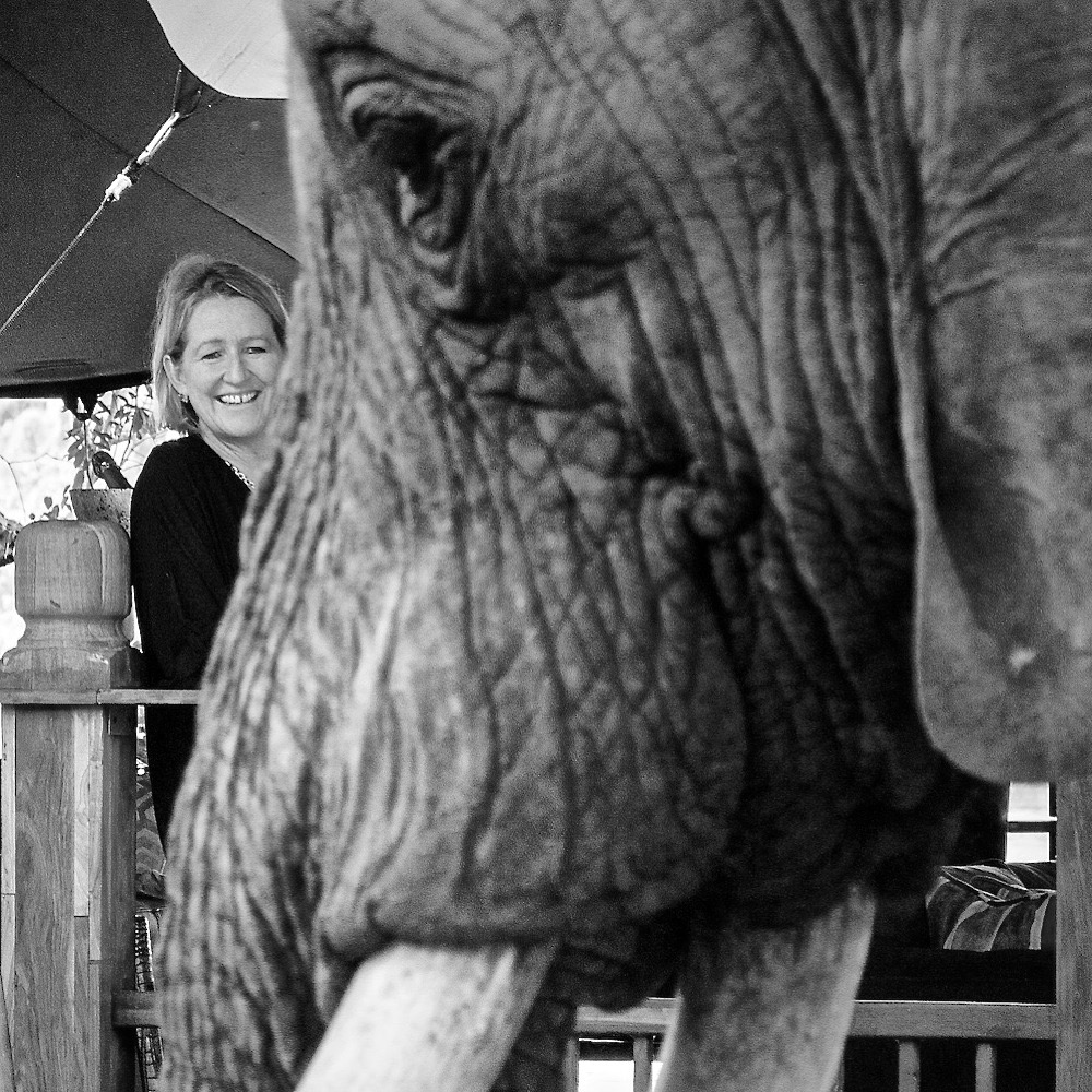 It's such a privilege working alongside this herd of rescued elephants.