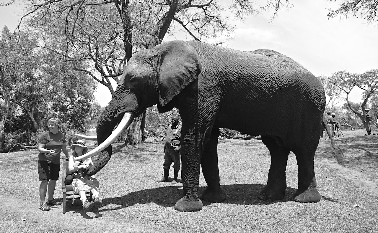 Gentle Danny interacting with a special guest earlier this month.