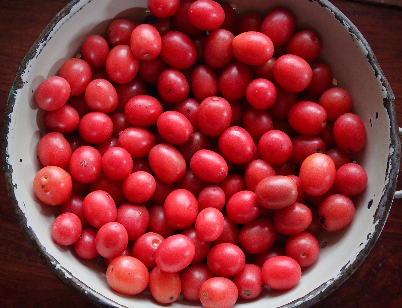 Wild sour plum, or mungomba, which have just come into season now. We made our first batch of syrup yesterday.