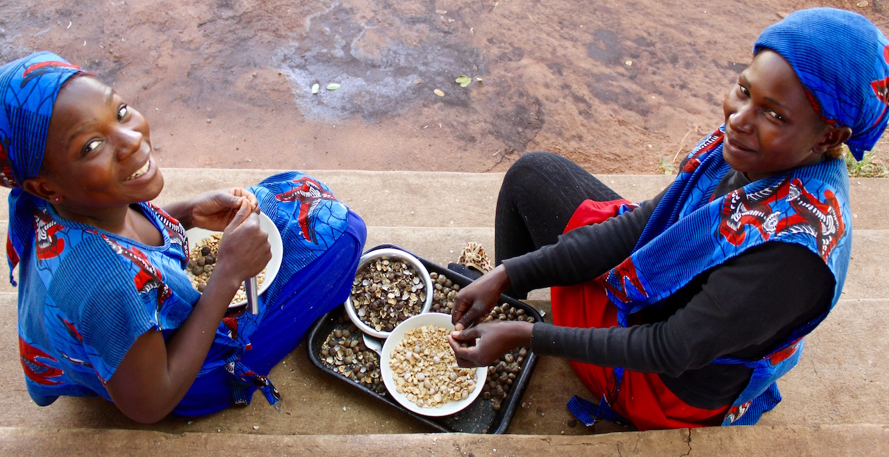 Maggie Mundia and Sandra Labetwa helping shell the mongongo nuts at the farm.