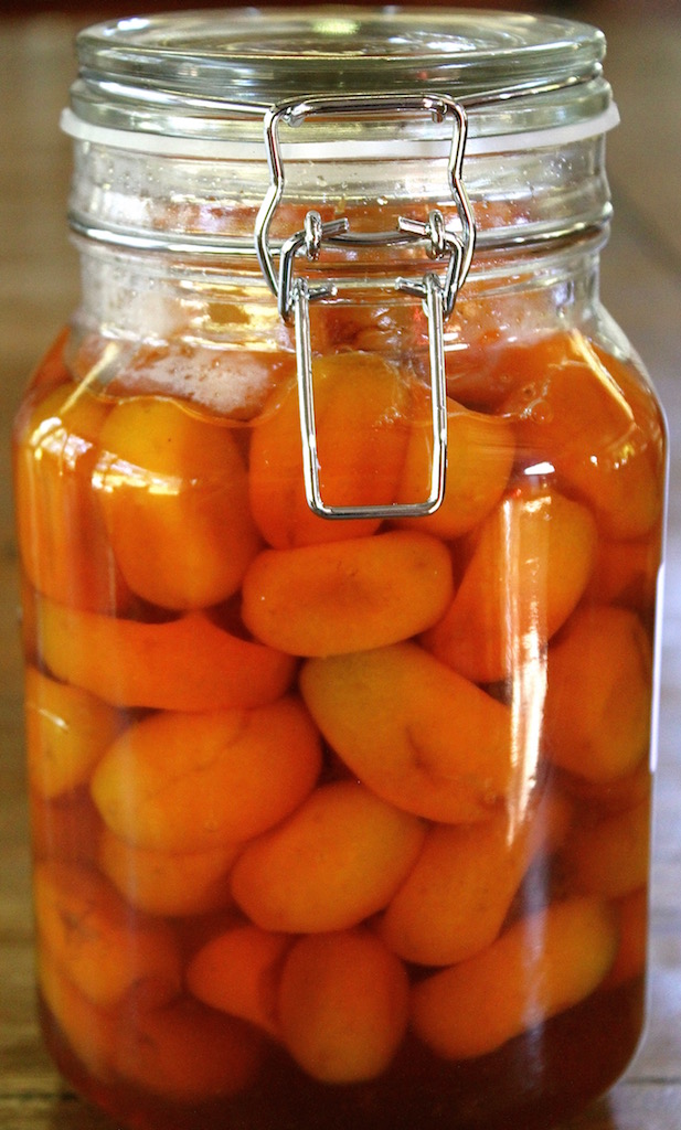 Kumquats in syrup, preserved on our farm earlier in the year.