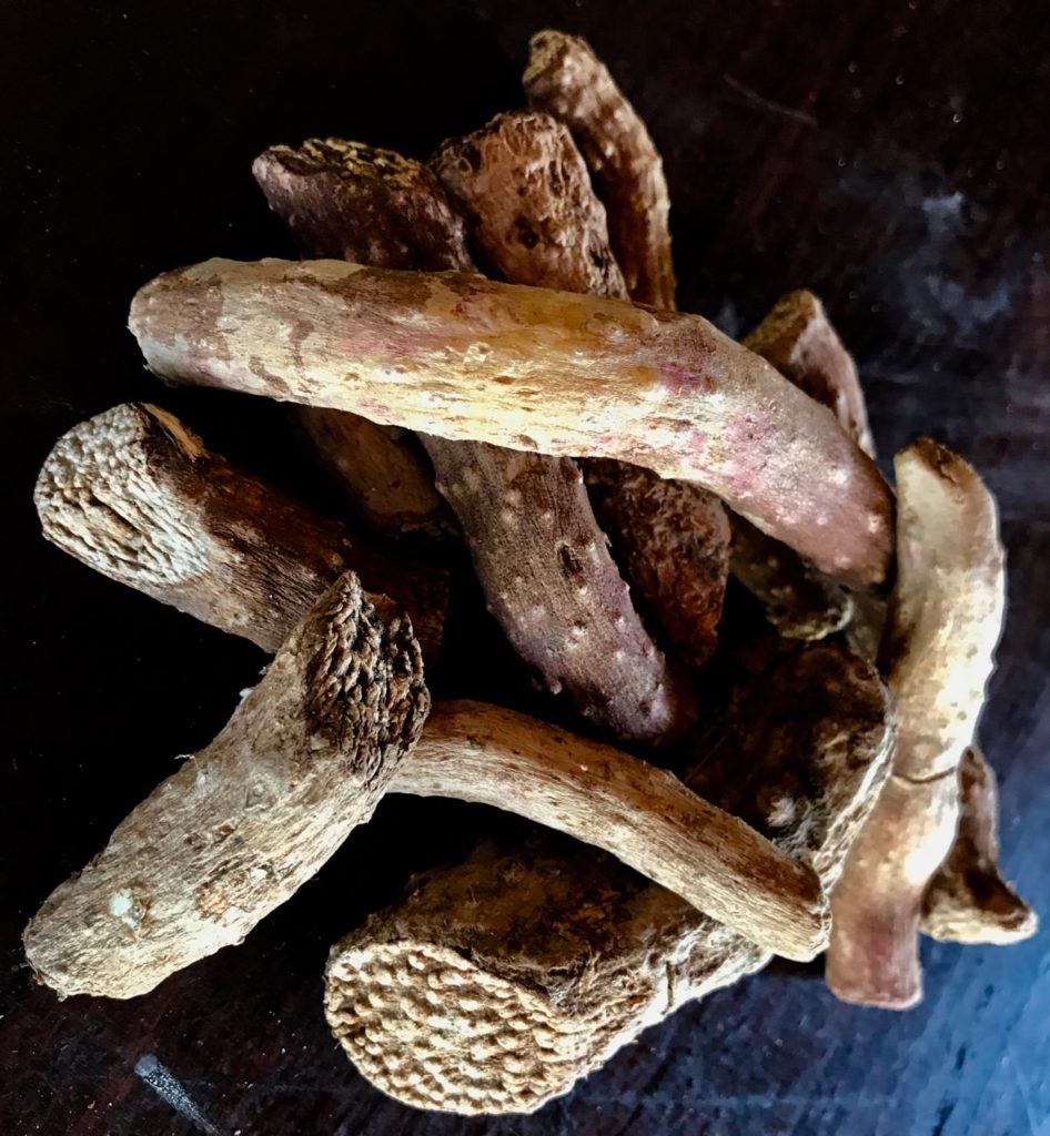 Lusala … a Wild Root That Makes a Killer Vichyssoise SavannaBel